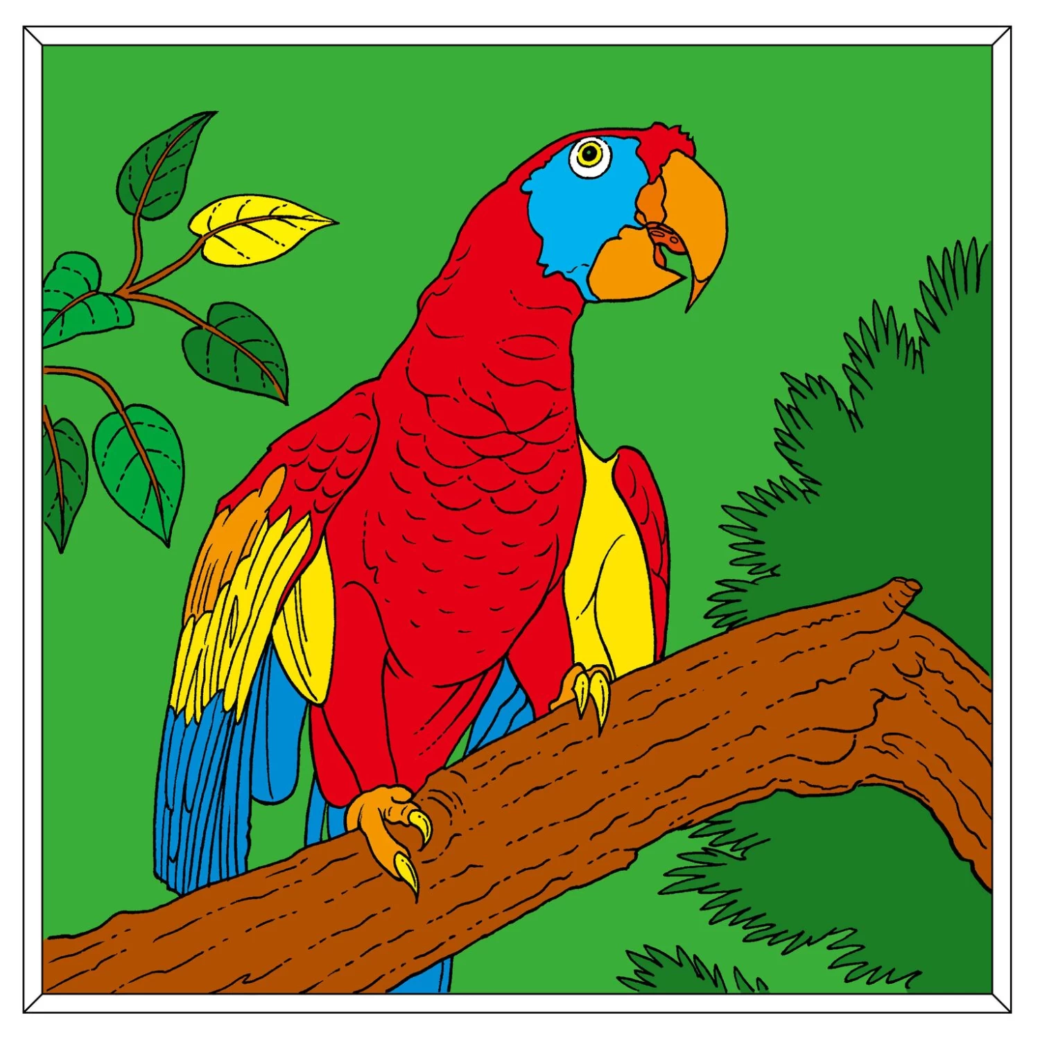 Kleurboek Colouring Book - Afbeelding 5