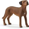 Schleich 13895 Leeuwhond FarmWorld