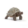 Schleich 14824 Reuzenschildpad Wildlife