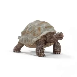 Schleich 14824 Reuzenschildpad Wildlife