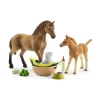 Schleich 42432 Babydieren Verzorgingsset Horse Club
