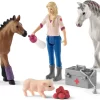 Schleich 42486 Dierenarts Met Merrie En Veulen HorseClub
